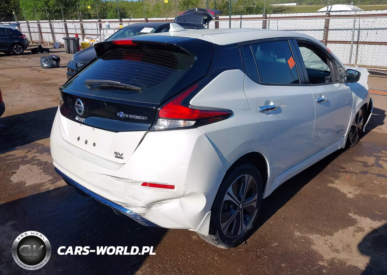 2019 Nissan Leaf Sv Plus VIN:1N4BZ1CP4KC320359 - 4