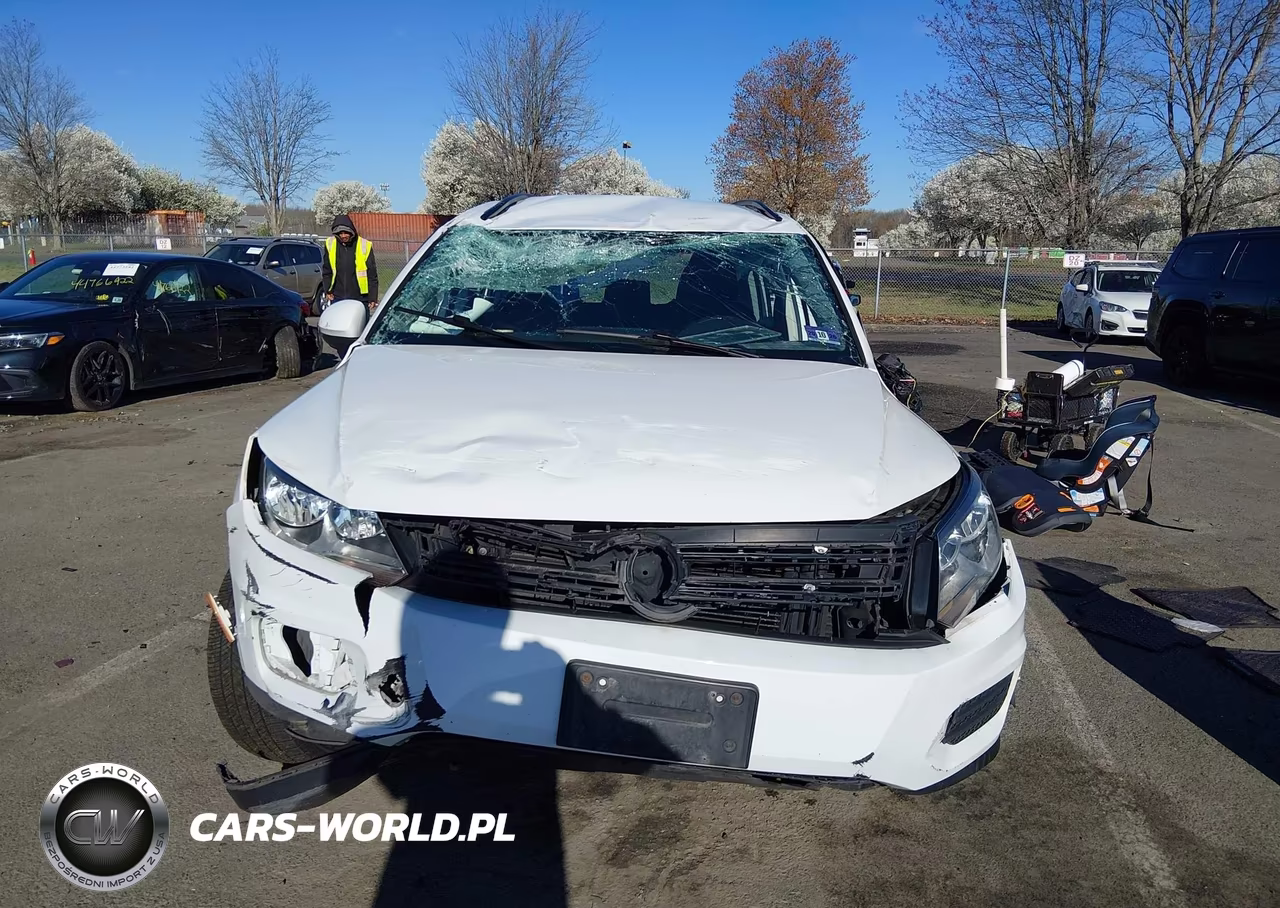 2017 Volkswagen Tiguan 2.0T-2.0T S VIN:WVGAV7AX7HK049315 - 12