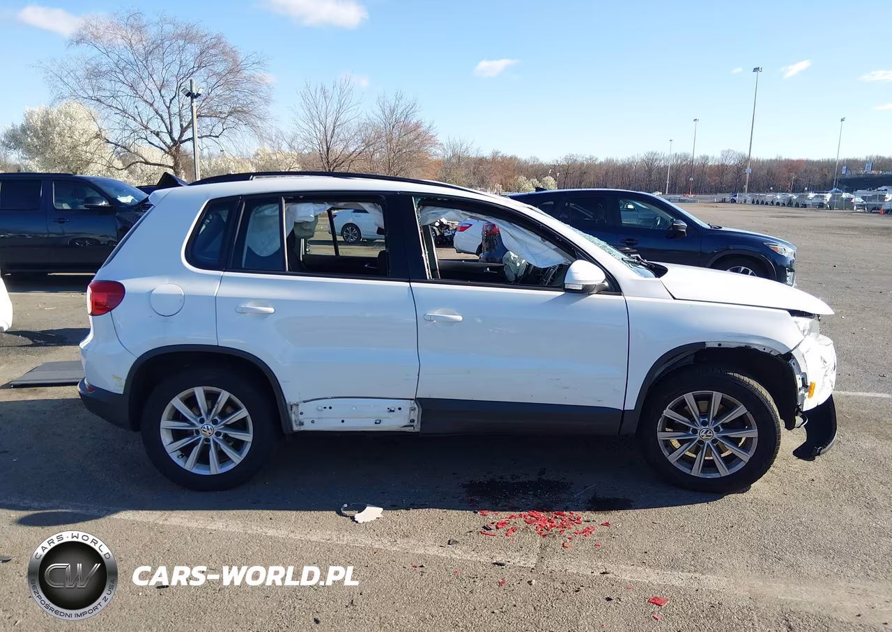 2017 Volkswagen Tiguan 2.0T-2.0T S VIN:WVGAV7AX7HK049315 - 13