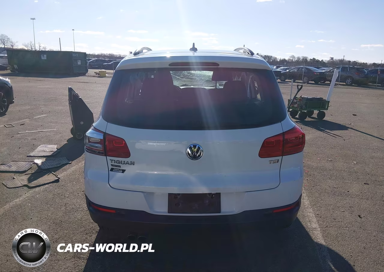 2017 Volkswagen Tiguan 2.0T-2.0T S VIN:WVGAV7AX7HK049315 - 16