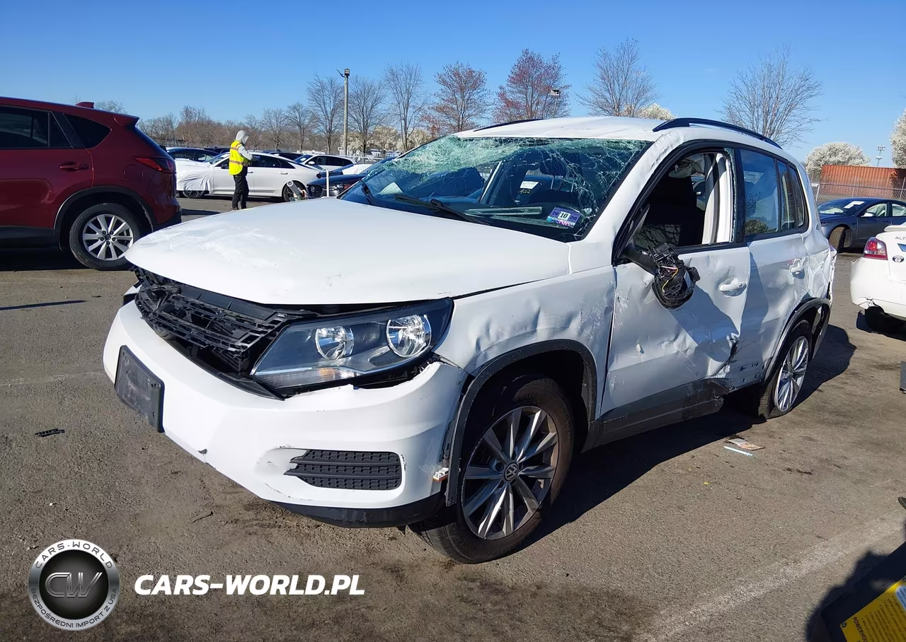 2017 Volkswagen Tiguan 2.0T-2.0T S VIN:WVGAV7AX7HK049315 - 2