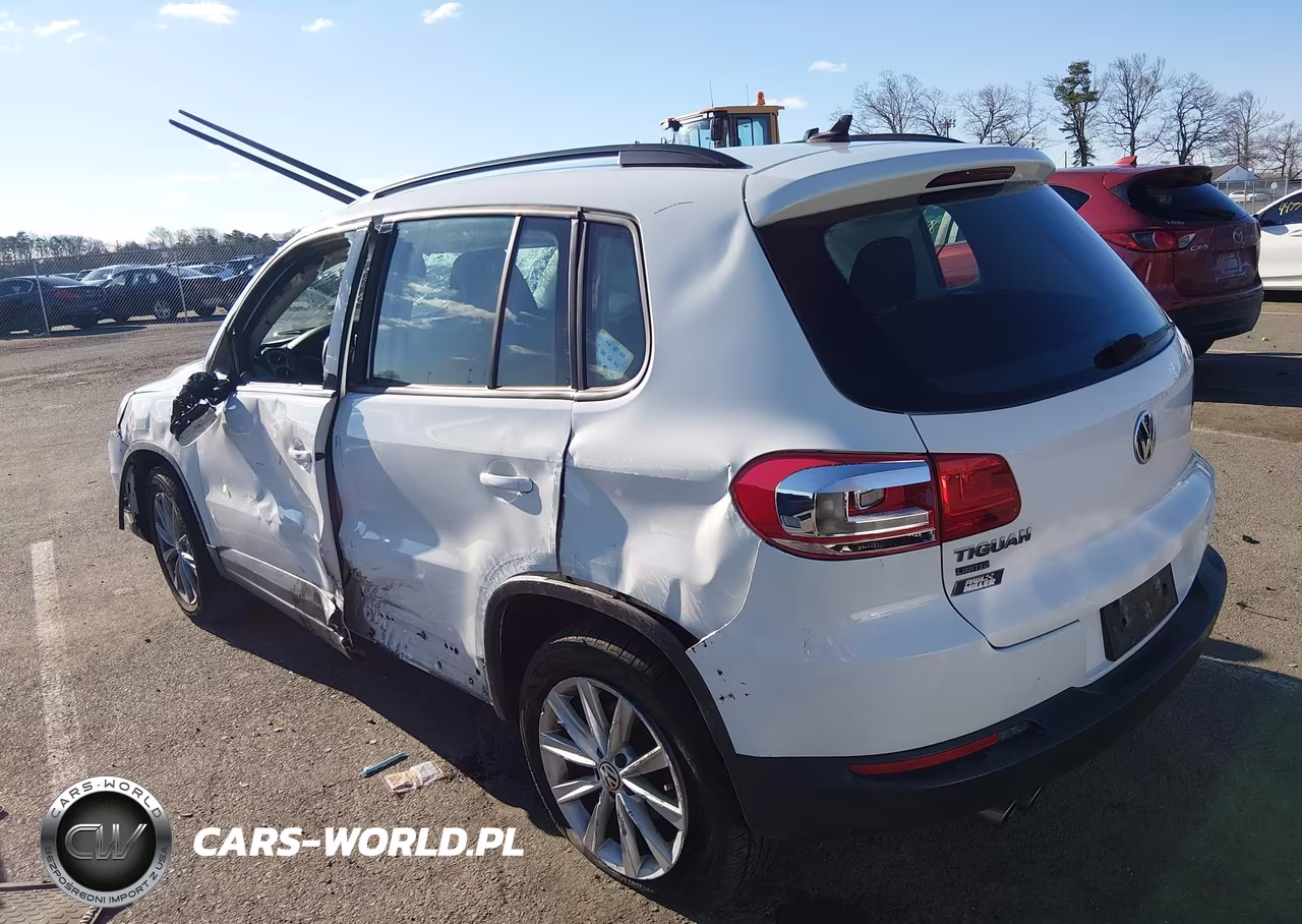 2017 Volkswagen Tiguan 2.0T-2.0T S VIN:WVGAV7AX7HK049315 - 3