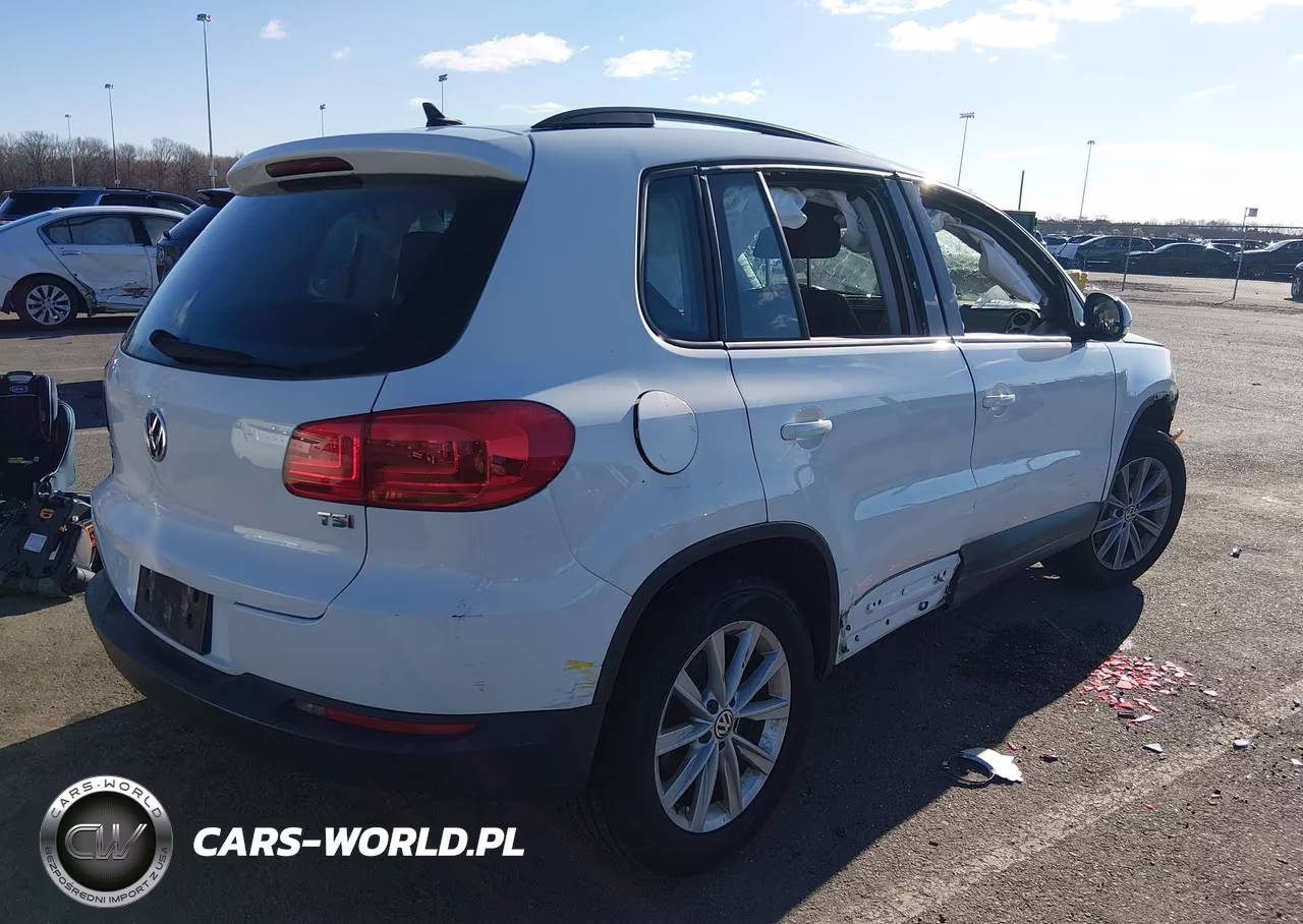 2017 Volkswagen Tiguan 2.0T-2.0T S VIN:WVGAV7AX7HK049315 - 4