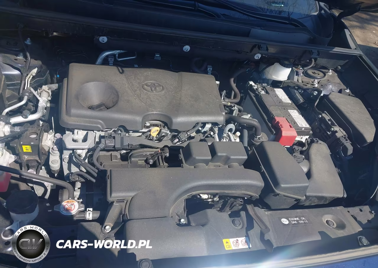 2024 Toyota Rav4 Xle VIN:2T3P1RFV9RW457367 - 10
