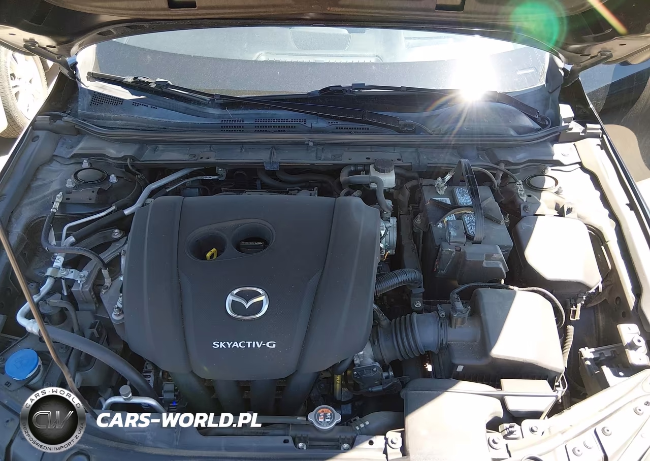 2019 Mazda Mazda3 Premium Package VIN:JM1BPANM1K1131991 - 10