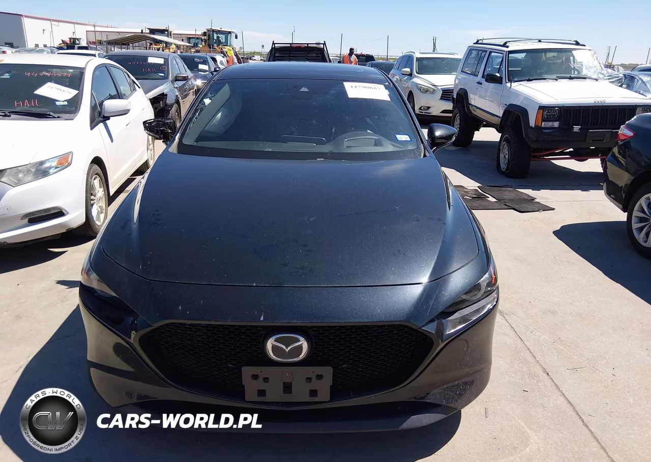 2019 Mazda Mazda3 Premium Package VIN:JM1BPANM1K1131991 - 12