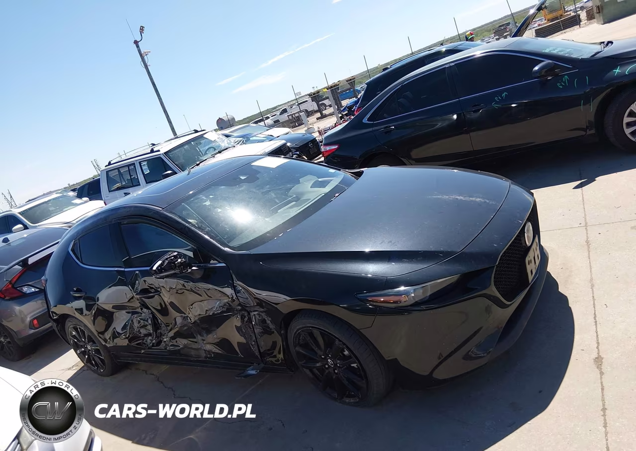 2019 Mazda Mazda3 Premium Package VIN:JM1BPANM1K1131991 - 13