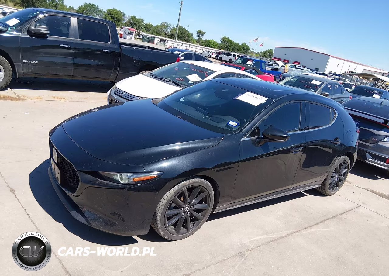 2019 Mazda Mazda3 Premium Package VIN:JM1BPANM1K1131991 - 14