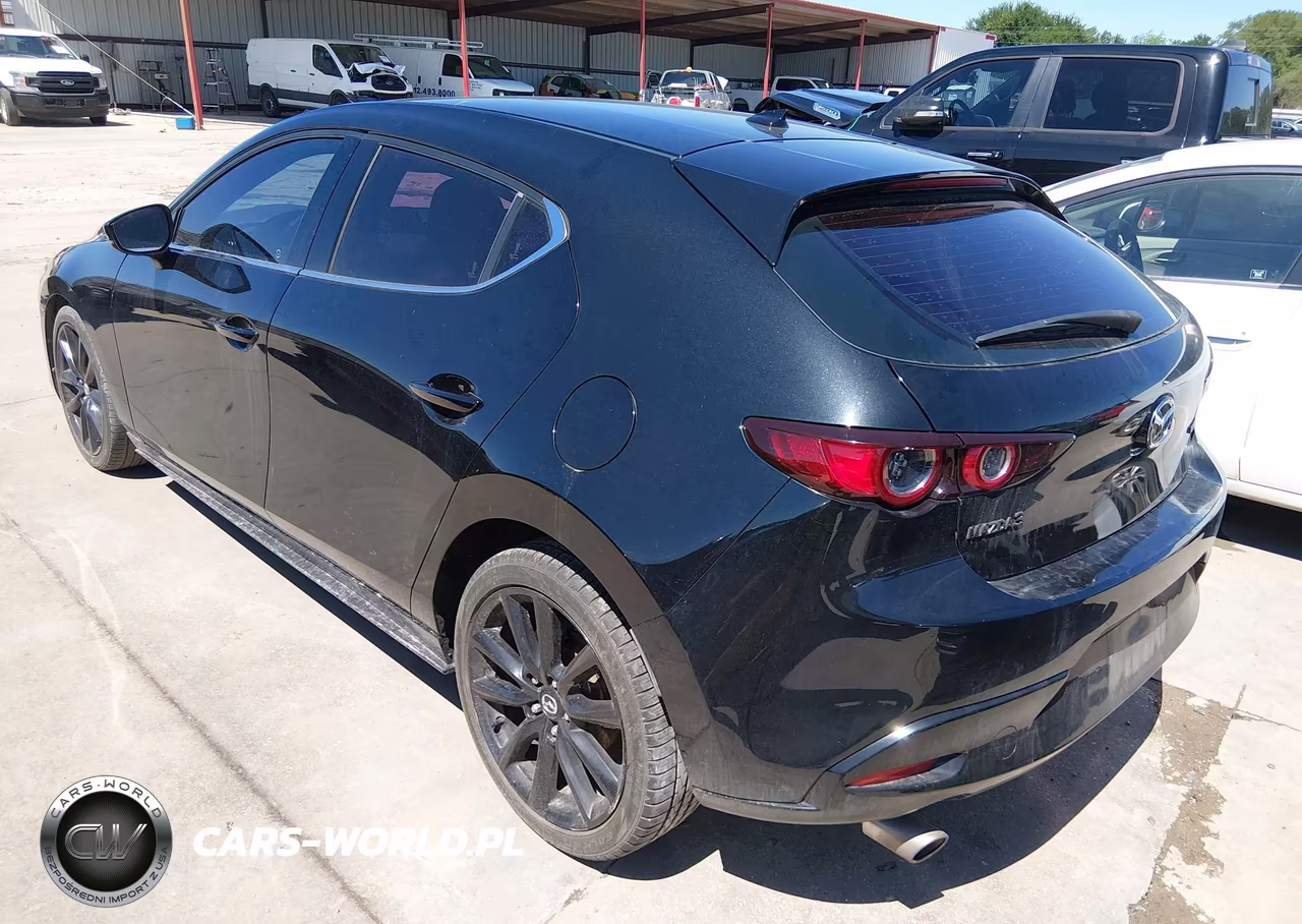 2019 Mazda Mazda3 Premium Package VIN:JM1BPANM1K1131991 - 3