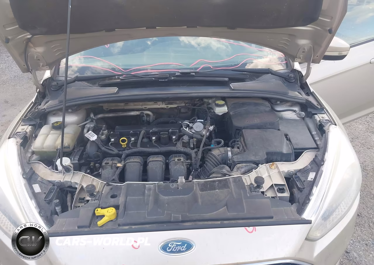 2017 Ford Focus Se VIN:1FADP3F28HL208361 - 10