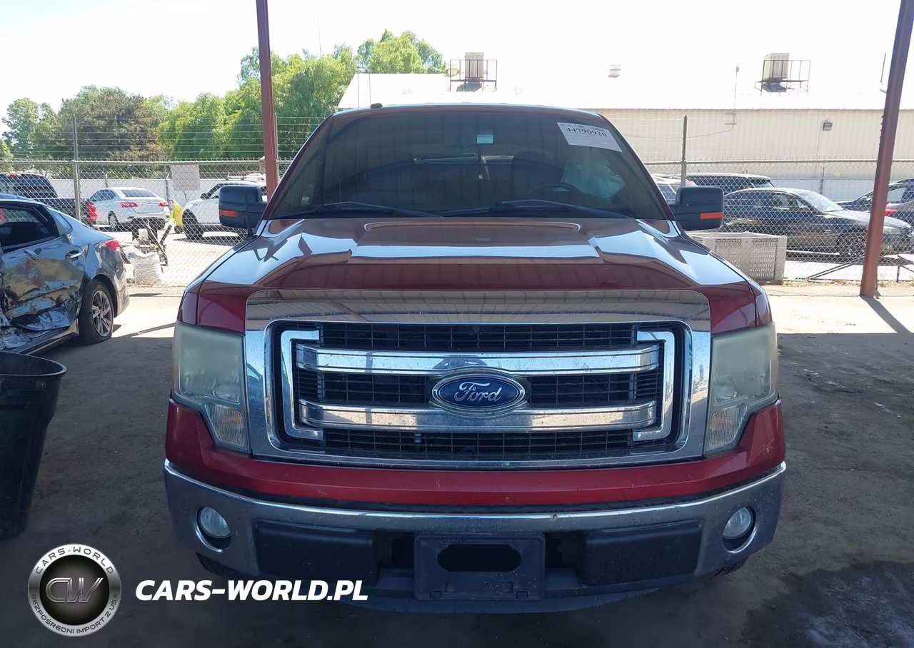 2013 Ford F-150 Xlt VIN:1FTFX1CF5DFD45796 - 12