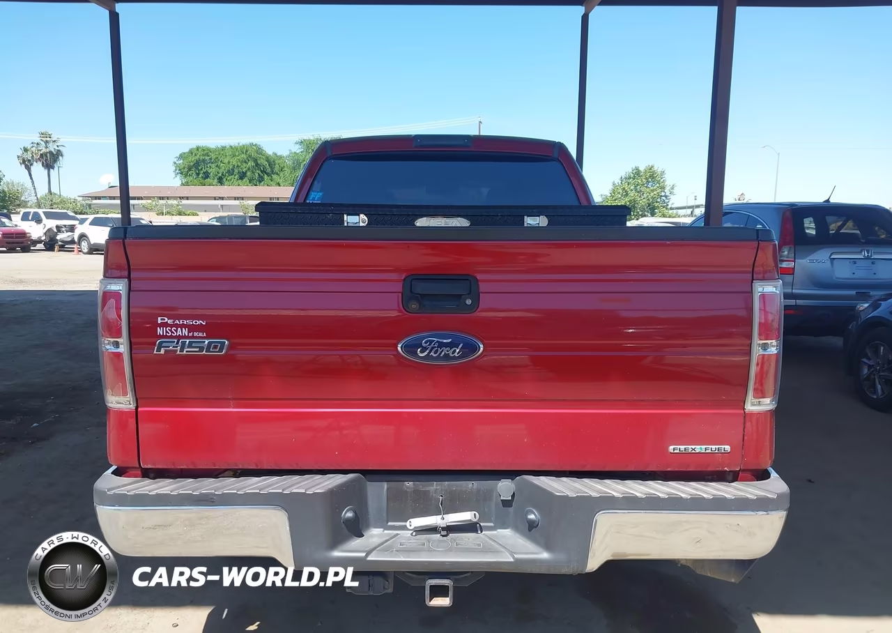 2013 Ford F-150 Xlt VIN:1FTFX1CF5DFD45796 - 16