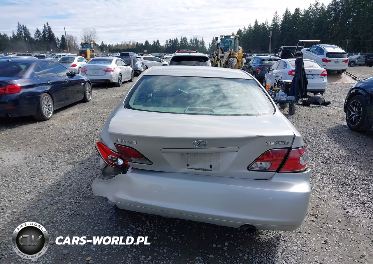 2002 Lexus Es 300 VIN:JTHBF30G420056238 - 17