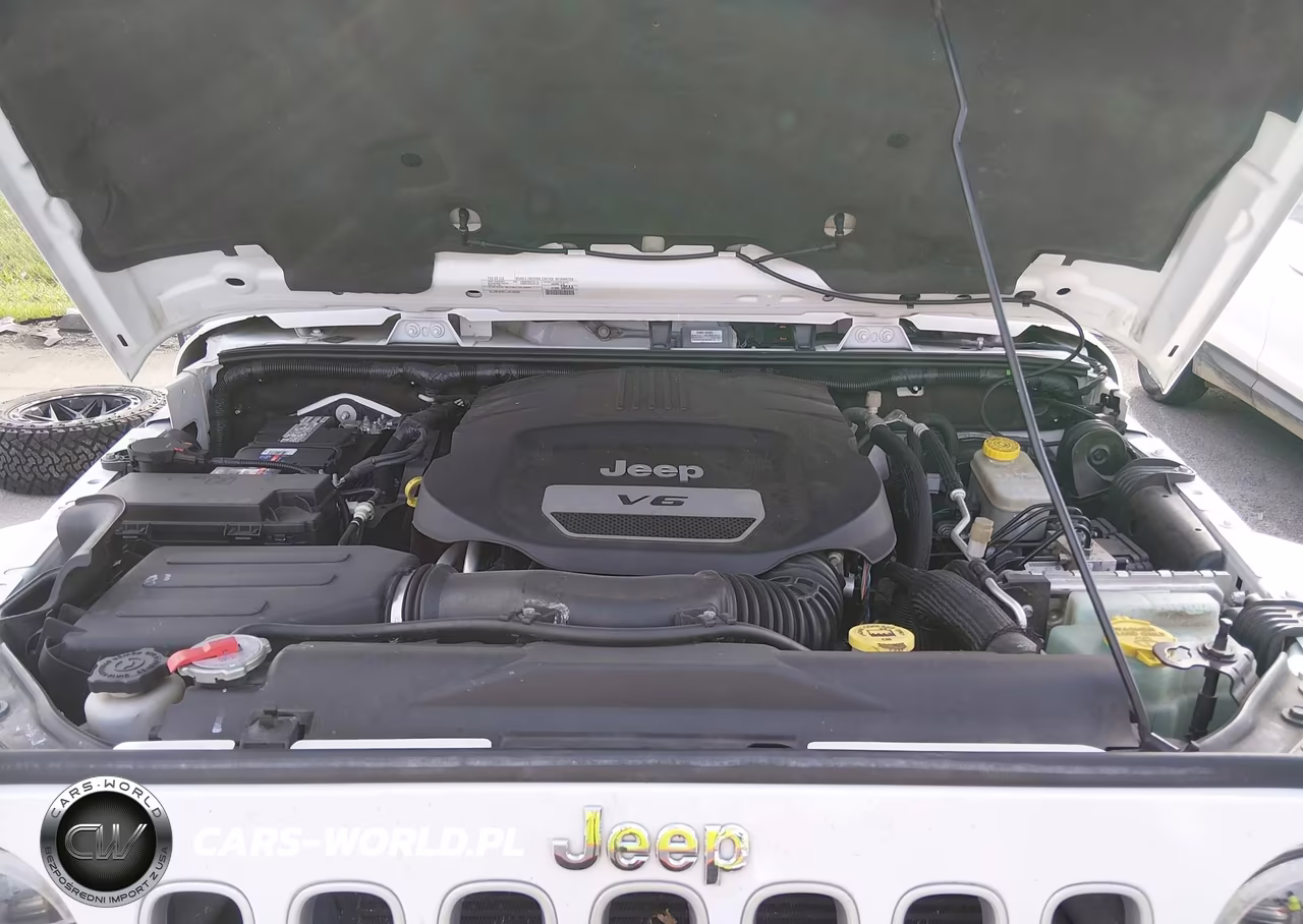 2016 Jeep Wrangler Unlimited Sahara VIN:1C4BJWEG6GL124491 - 10