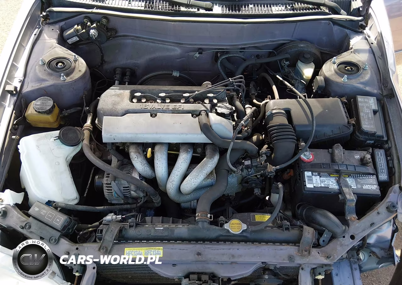 1998 Toyota Corolla Le VIN:1NXBR12E7WZ102664 - 10