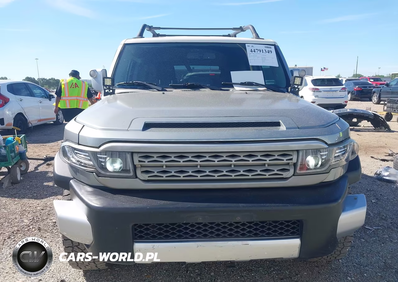 2010 Toyota Fj Cruiser VIN:JTEZU4BF3AK010298 - 12