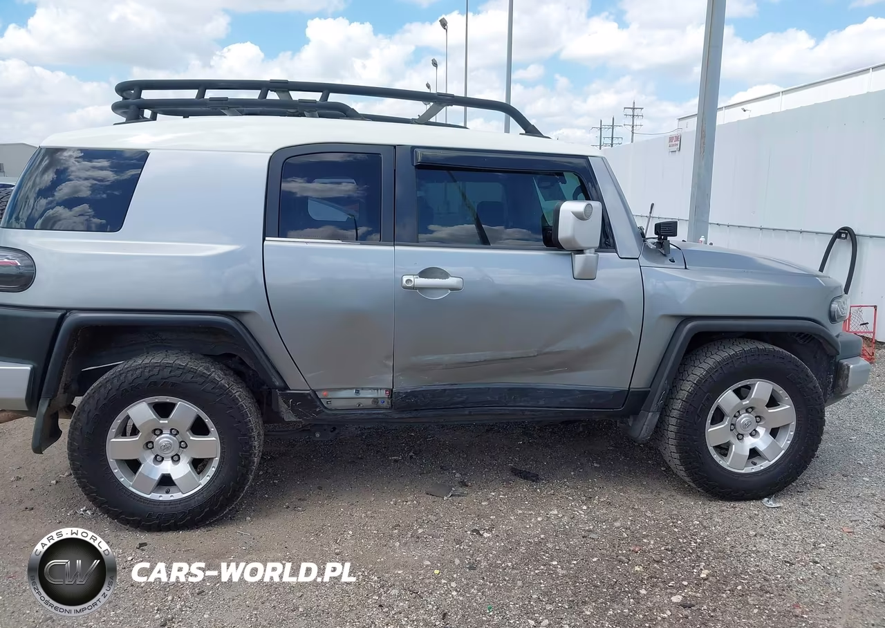 2010 Toyota Fj Cruiser VIN:JTEZU4BF3AK010298 - 13