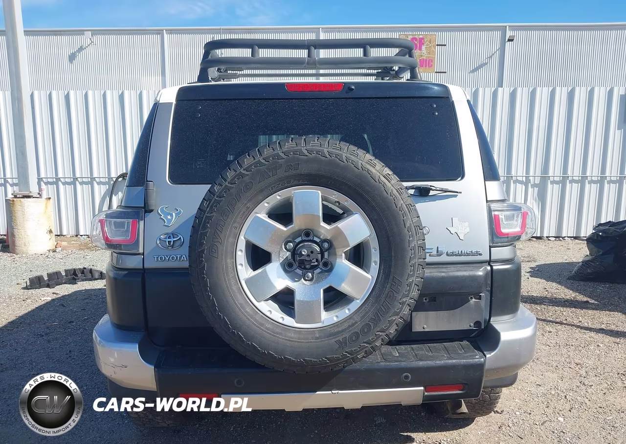 2010 Toyota Fj Cruiser VIN:JTEZU4BF3AK010298 - 16
