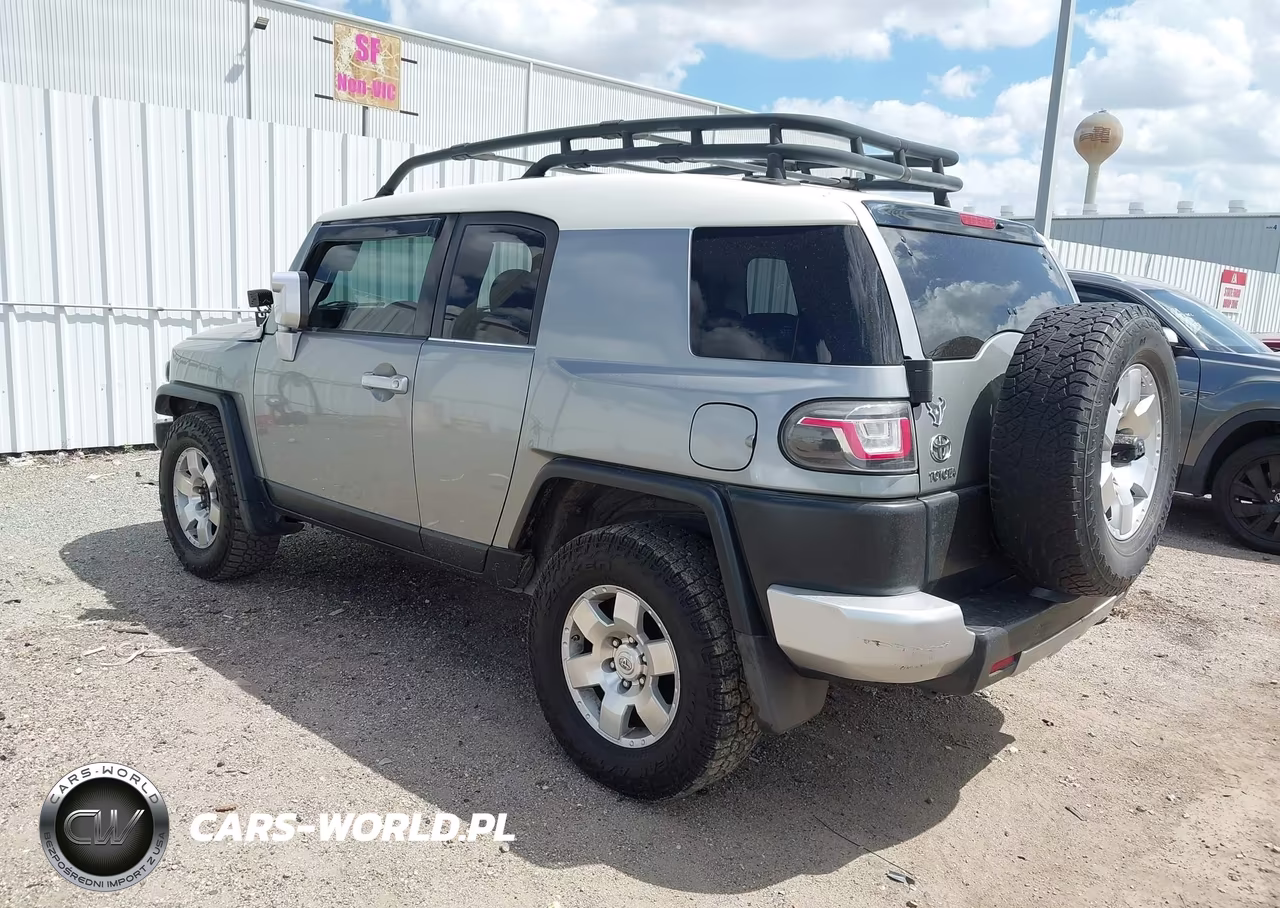 2010 Toyota Fj Cruiser VIN:JTEZU4BF3AK010298 - 3