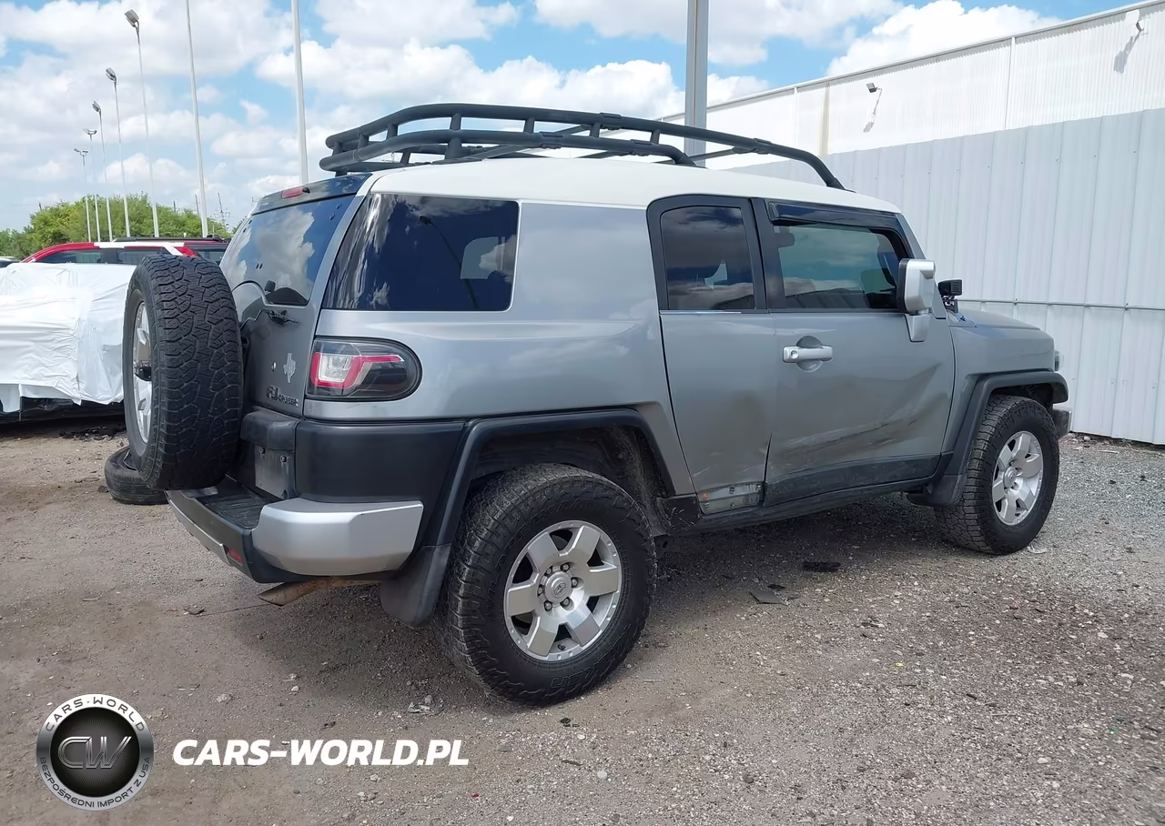 2010 Toyota Fj Cruiser VIN:JTEZU4BF3AK010298 - 4