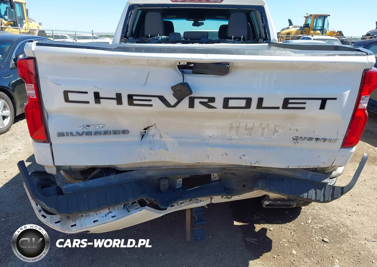 2020 Chevrolet Silverado 1500 2Wd Short Bed Custom VIN:1GCPWBEF1LZ160555 - 6