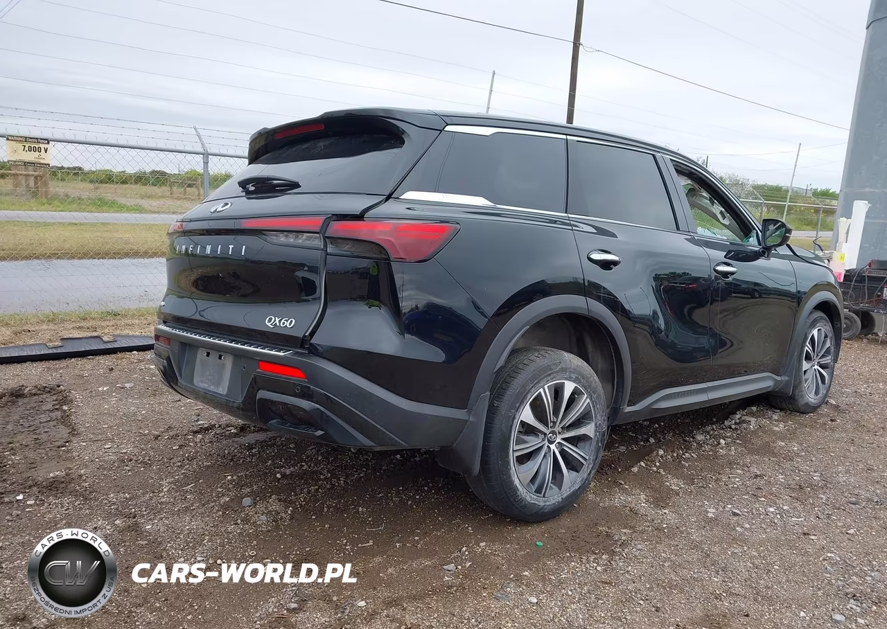 2024 Infiniti Qx60 Pure Awd VIN:5N1DL1ES5RC341667 - 4
