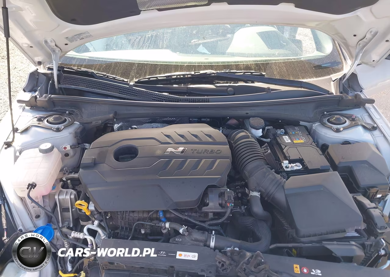 2023 Hyundai Elantra N VIN:KMHLW4AKXPU015056 - 10