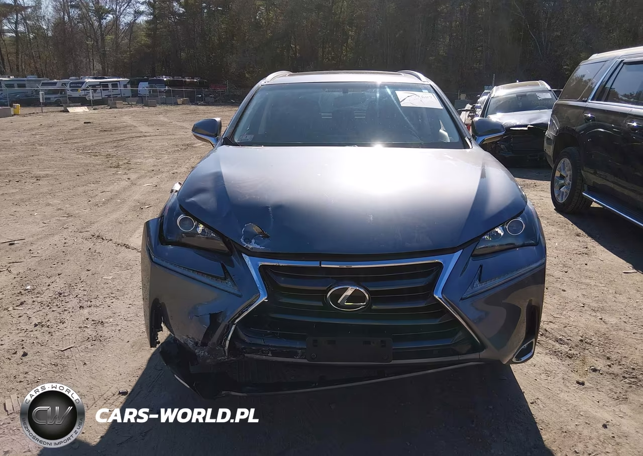 2017 Lexus Nx 200T VIN:JTJBARBZ7H2102477 - 12