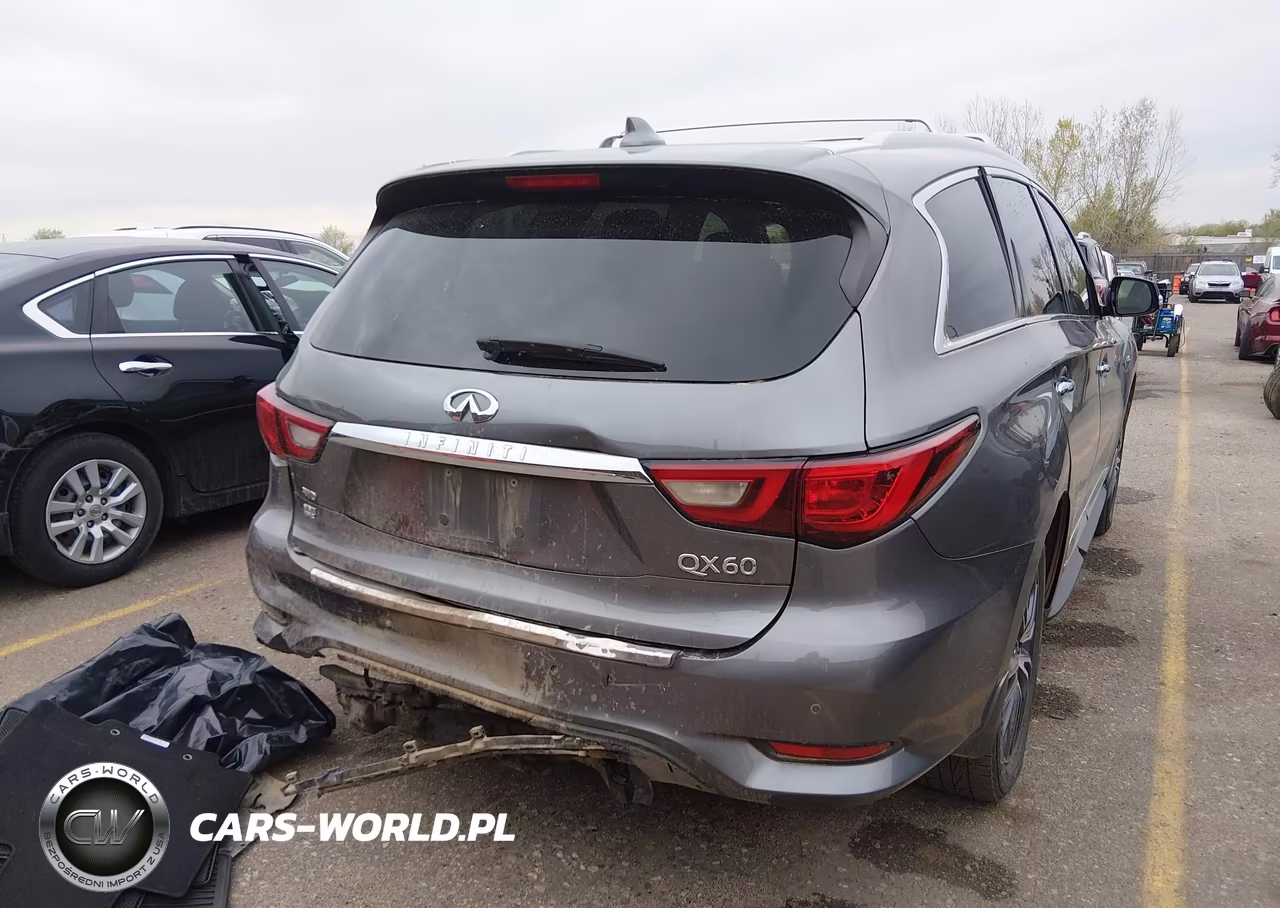 2020 Infiniti Qx60 Luxe Awd VIN:5N1DL0MM6LC506842 - 4
