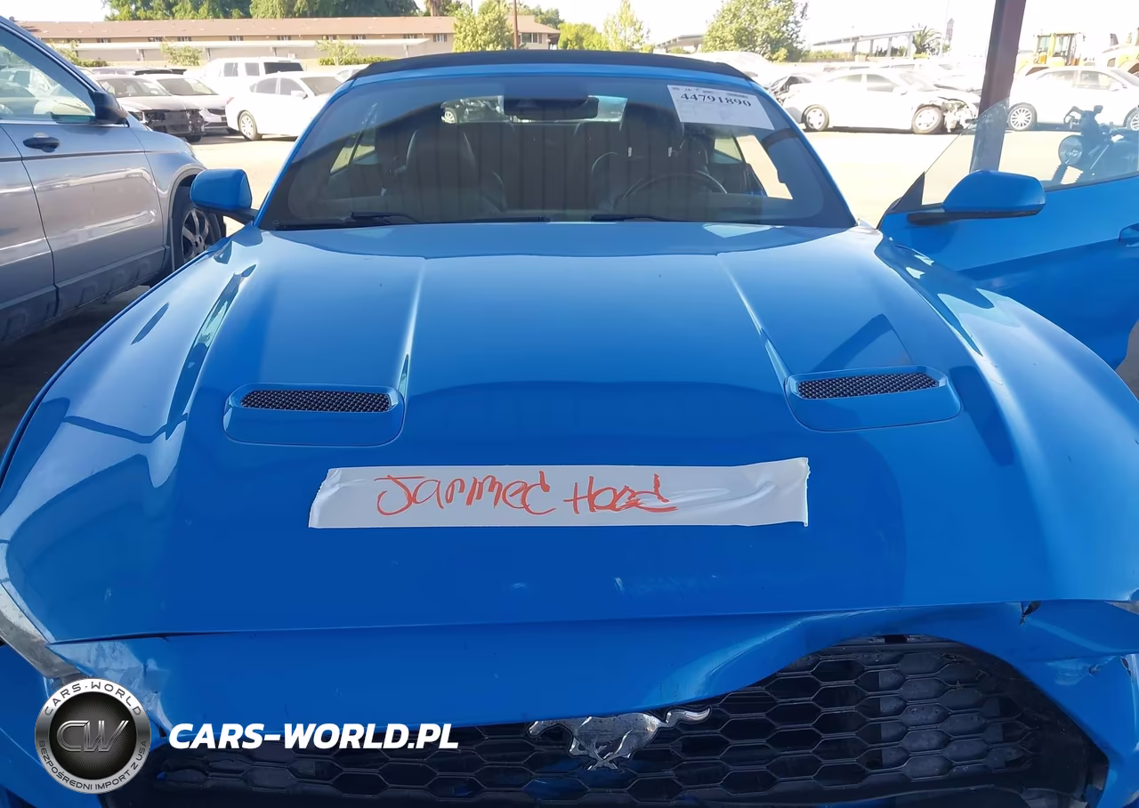2022 Ford Mustang Ecoboost Premium VIN:1FATP8UH1N5103094 - 10