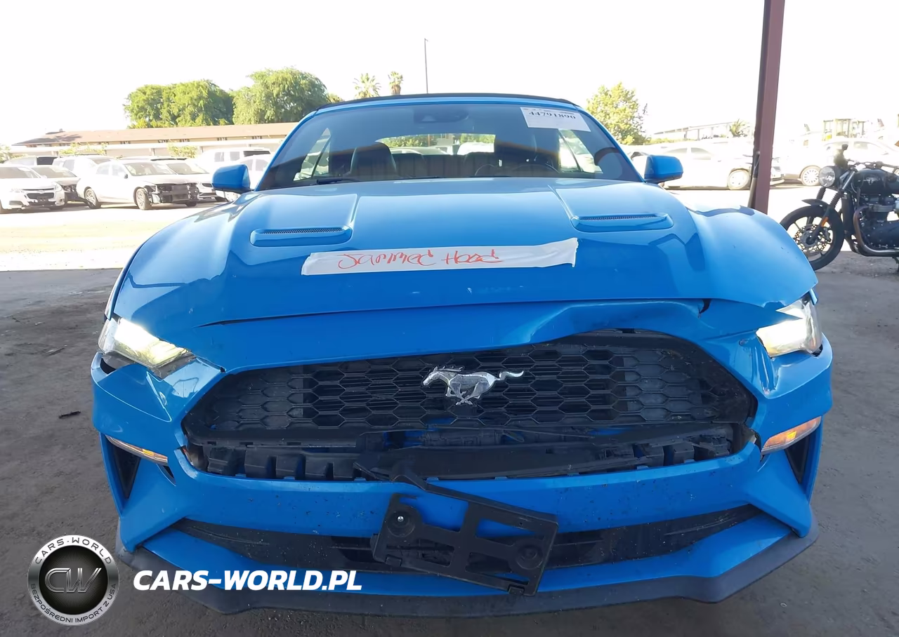2022 Ford Mustang Ecoboost Premium VIN:1FATP8UH1N5103094 - 6