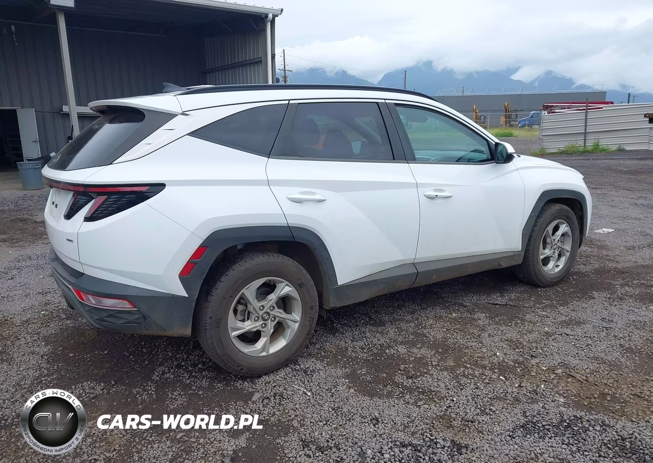 2022 Hyundai Tucson Sel VIN:5NMJBCAE9NH031409 - 4