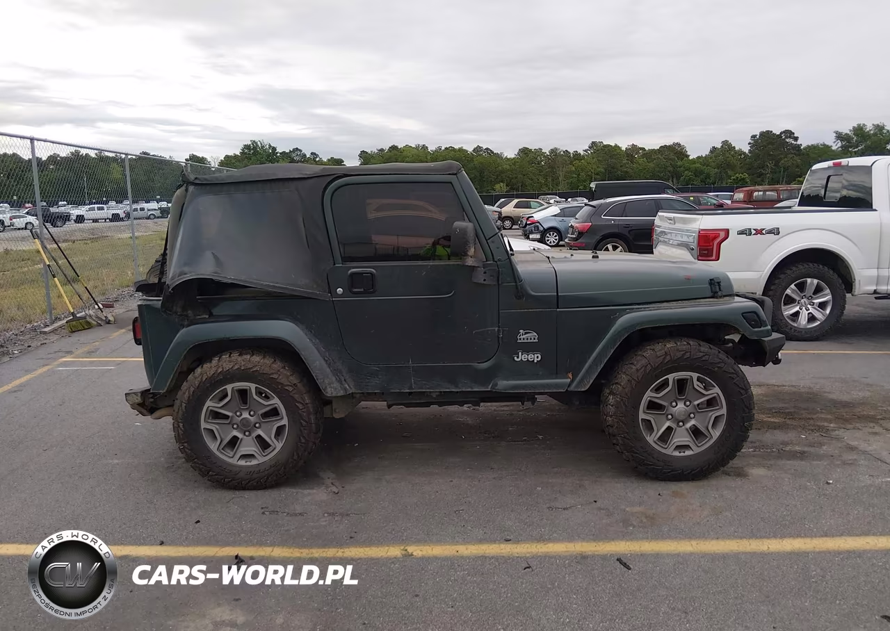 2003 Jeep Wrangler Sahara VIN:1J4FA59S73P302710 - 14
