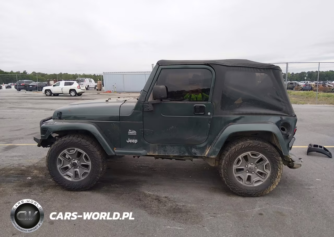 2003 Jeep Wrangler Sahara VIN:1J4FA59S73P302710 - 15