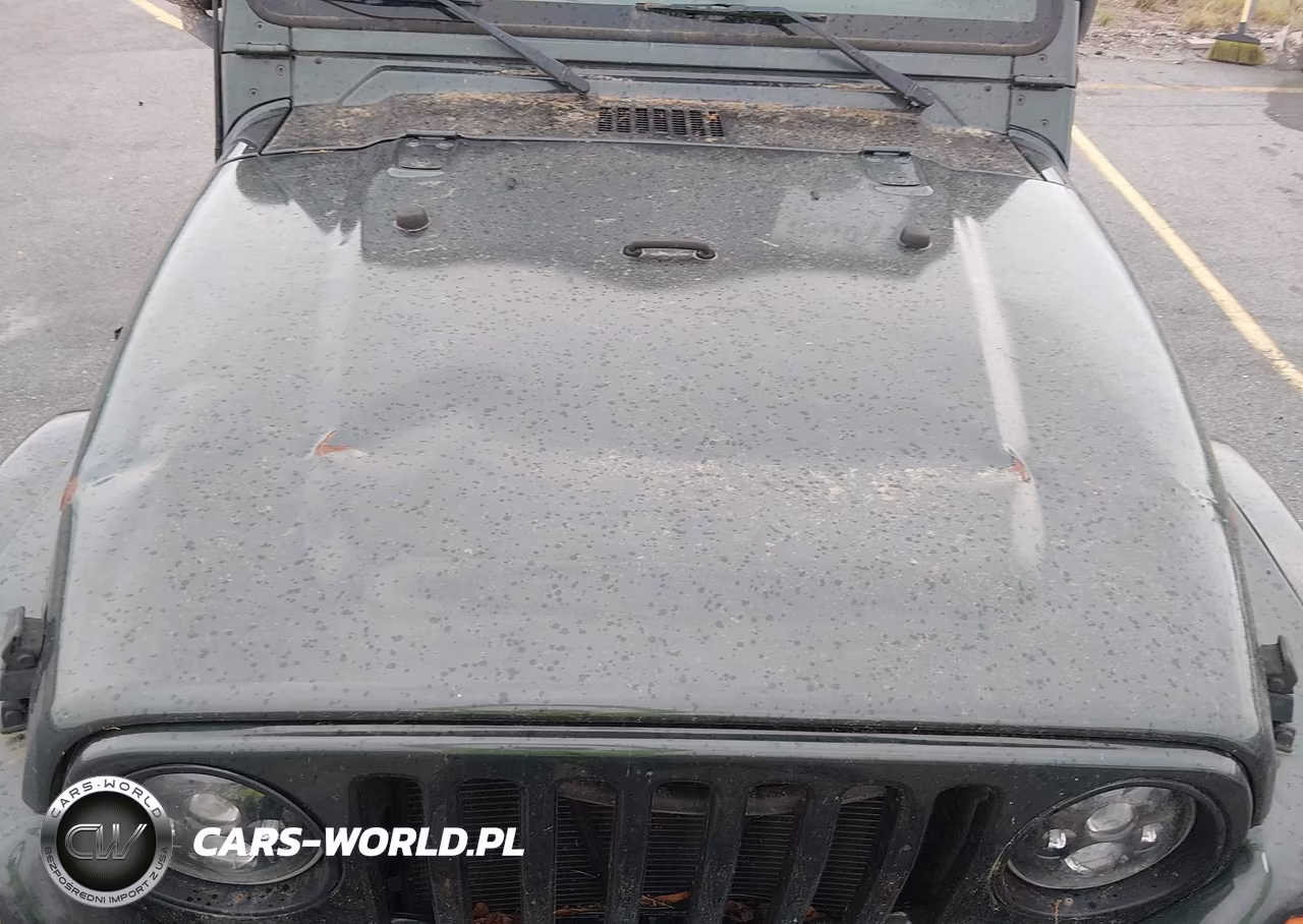 2003 Jeep Wrangler Sahara VIN:1J4FA59S73P302710 - 19