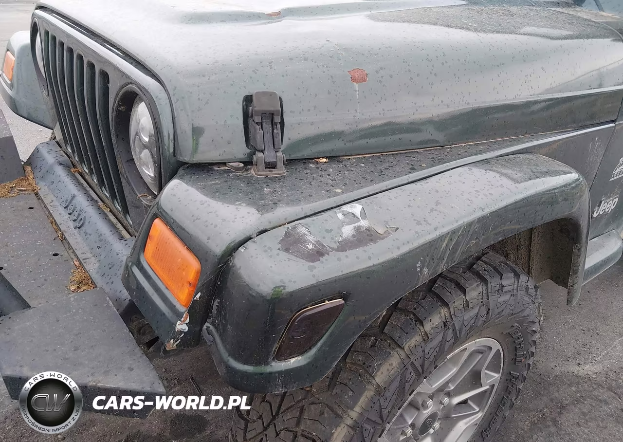 2003 Jeep Wrangler Sahara VIN:1J4FA59S73P302710 - 20