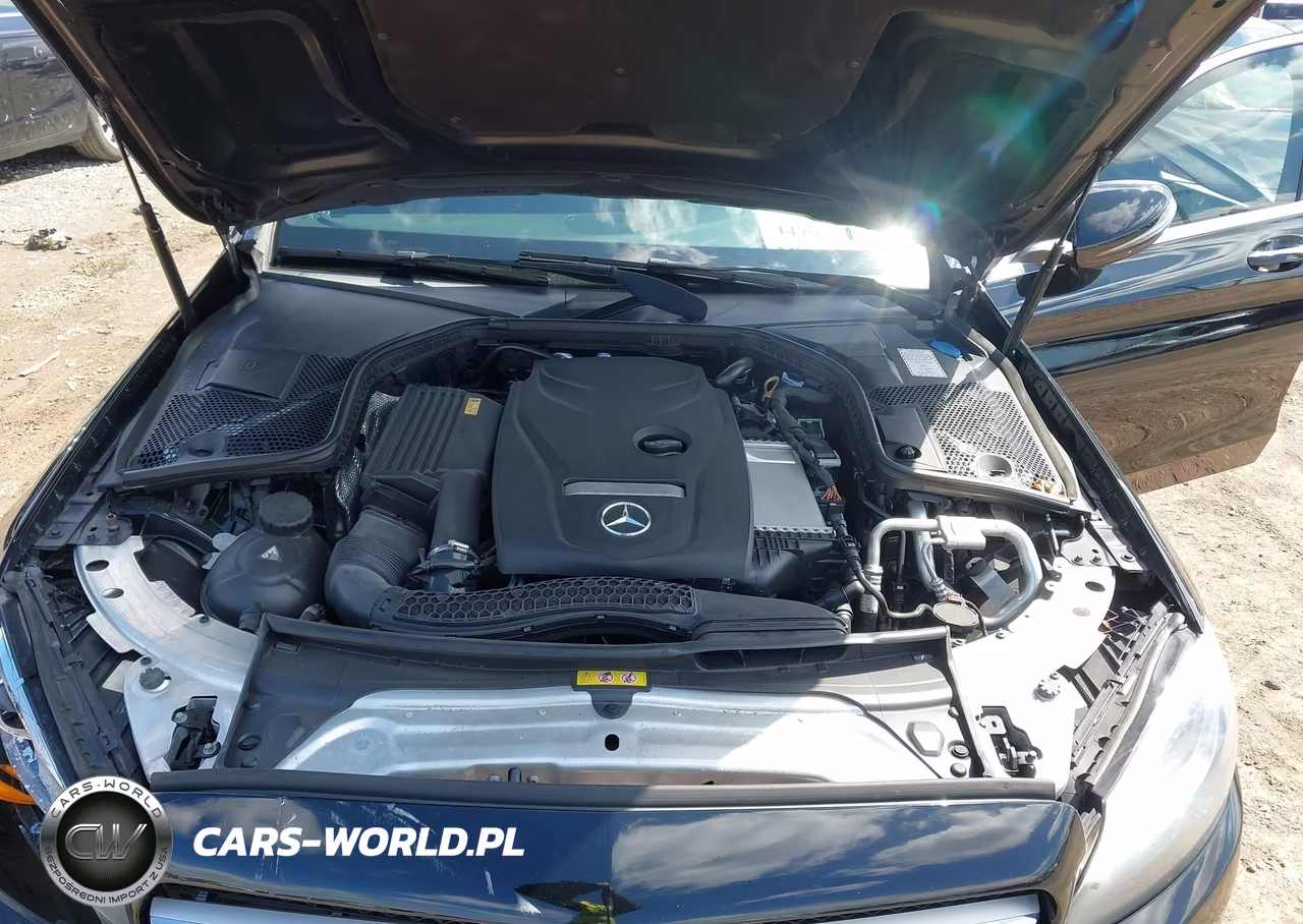 2018 Mercedes-Benz C 300 VIN:55SWF4JB1JU239185 - 10