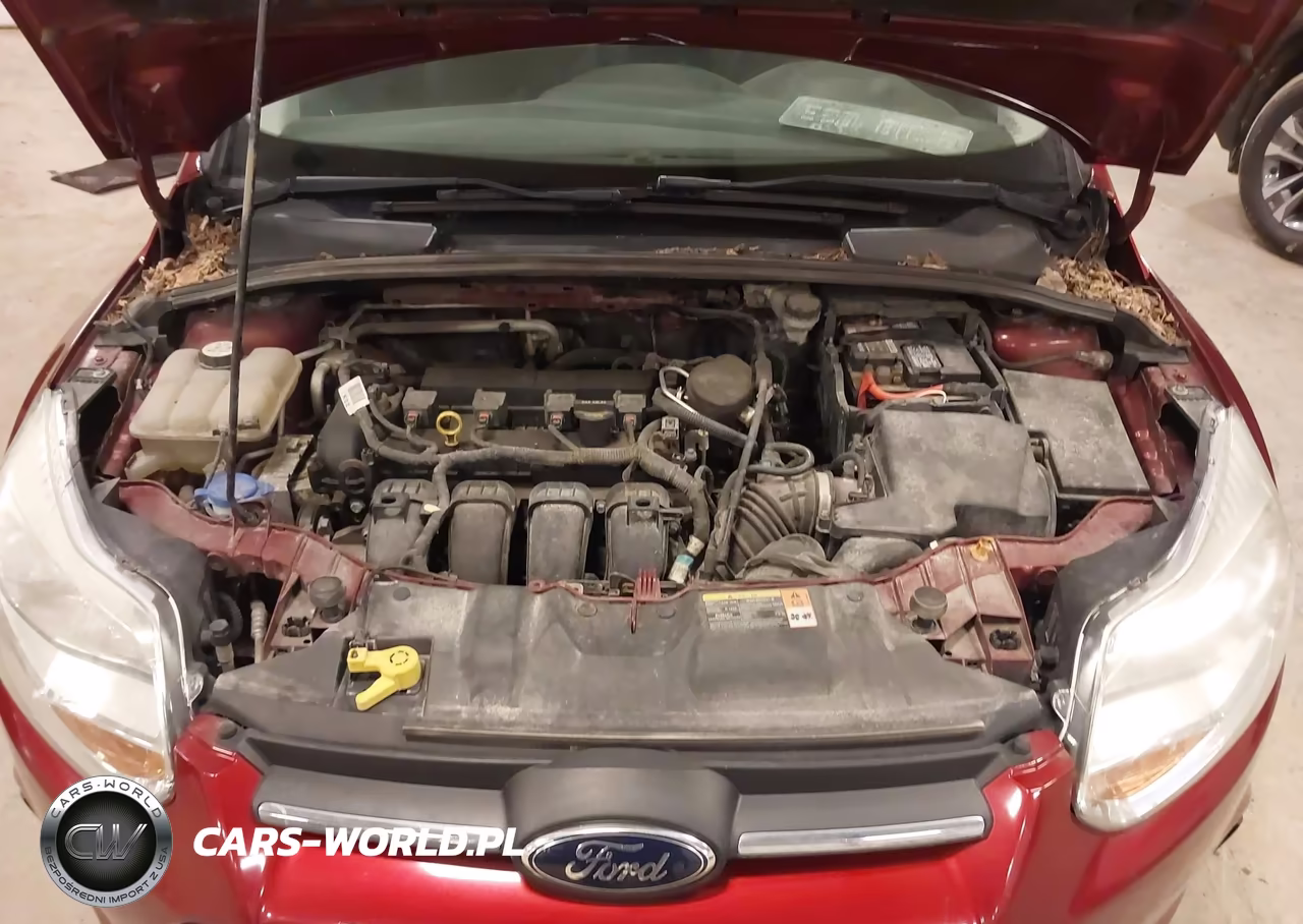 2014 Ford Focus Se VIN:1FADP3F28EL245938 - 10