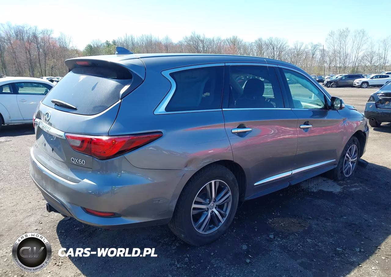 2020 Infiniti Qx60 Pure Awd VIN:5N1DL0MM4LC522943 - 17