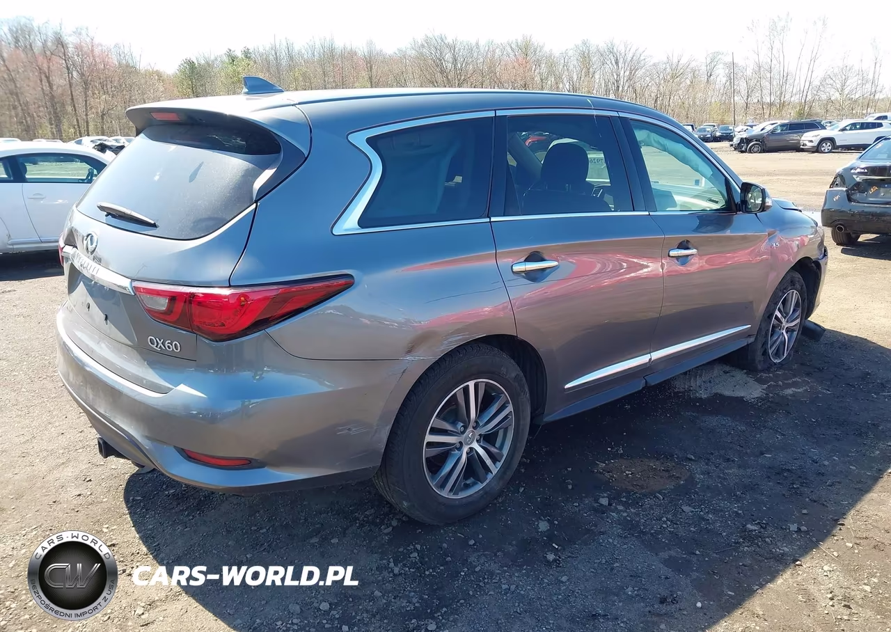 2020 Infiniti Qx60 Pure Awd VIN:5N1DL0MM4LC522943 - 4