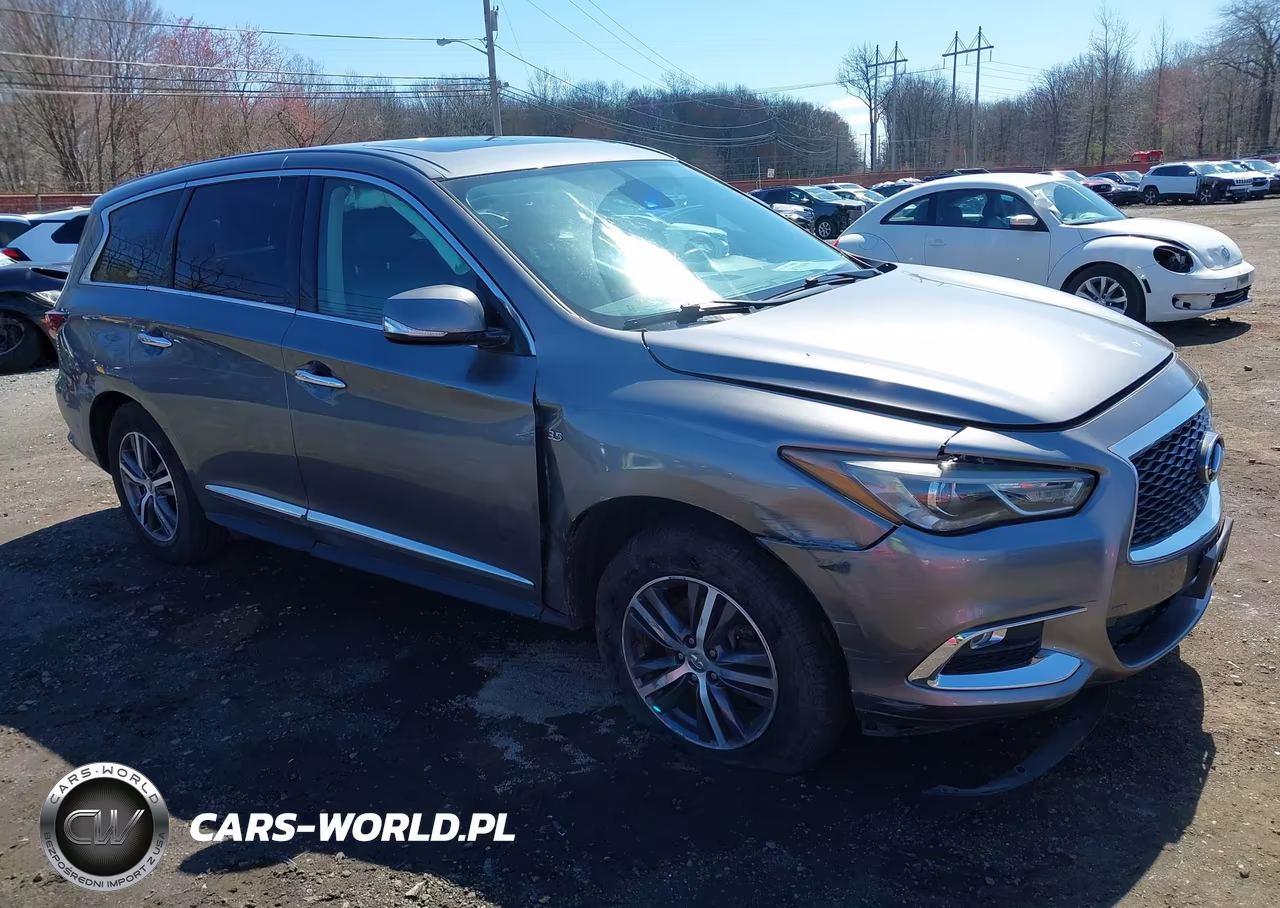 2020 Infiniti Qx60 Pure Awd VIN:5N1DL0MM4LC522943 - 6