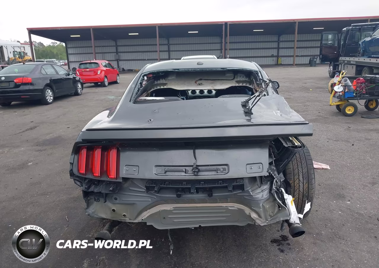 2015 Ford Mustang Ecoboost VIN:1FA6P8TH2F5385892 - 16