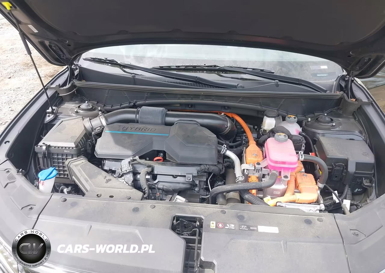2024 Hyundai Tucson Hybrid Limited VIN:KM8JECD14RU214064 - 10