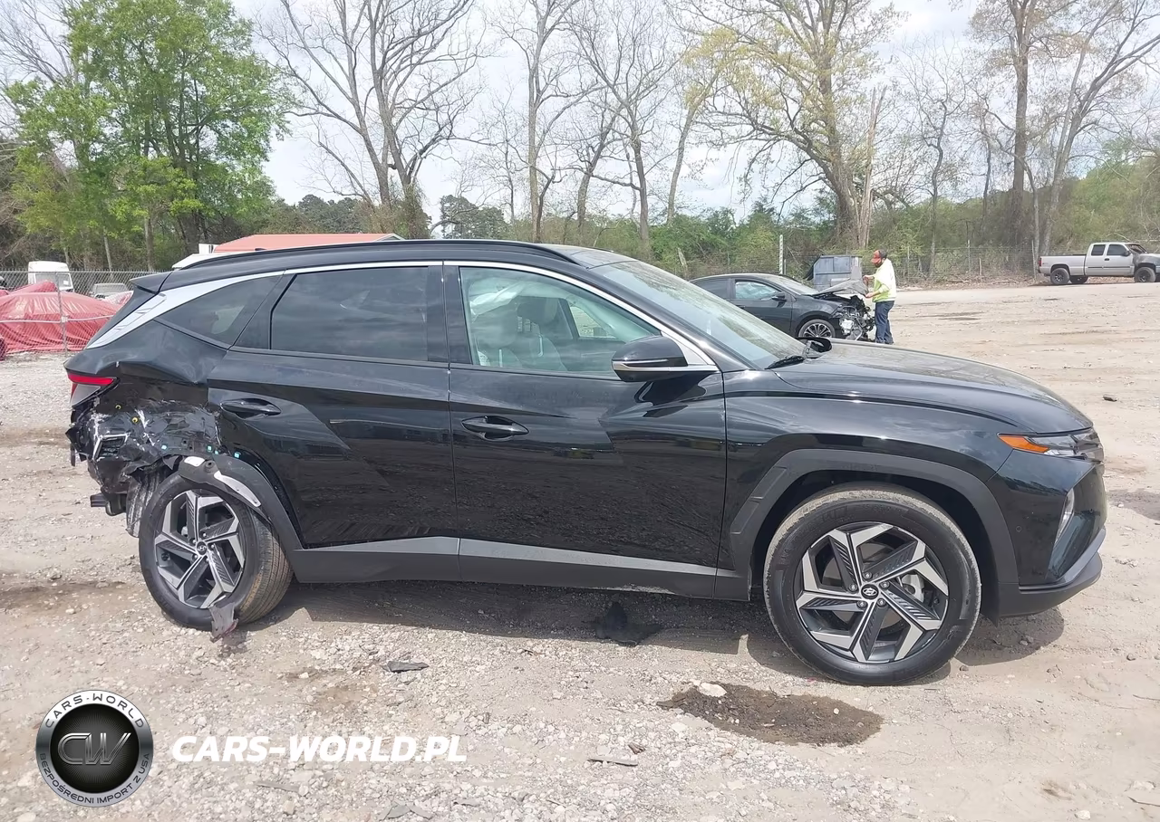 2024 Hyundai Tucson Hybrid Limited VIN:KM8JECD14RU214064 - 13