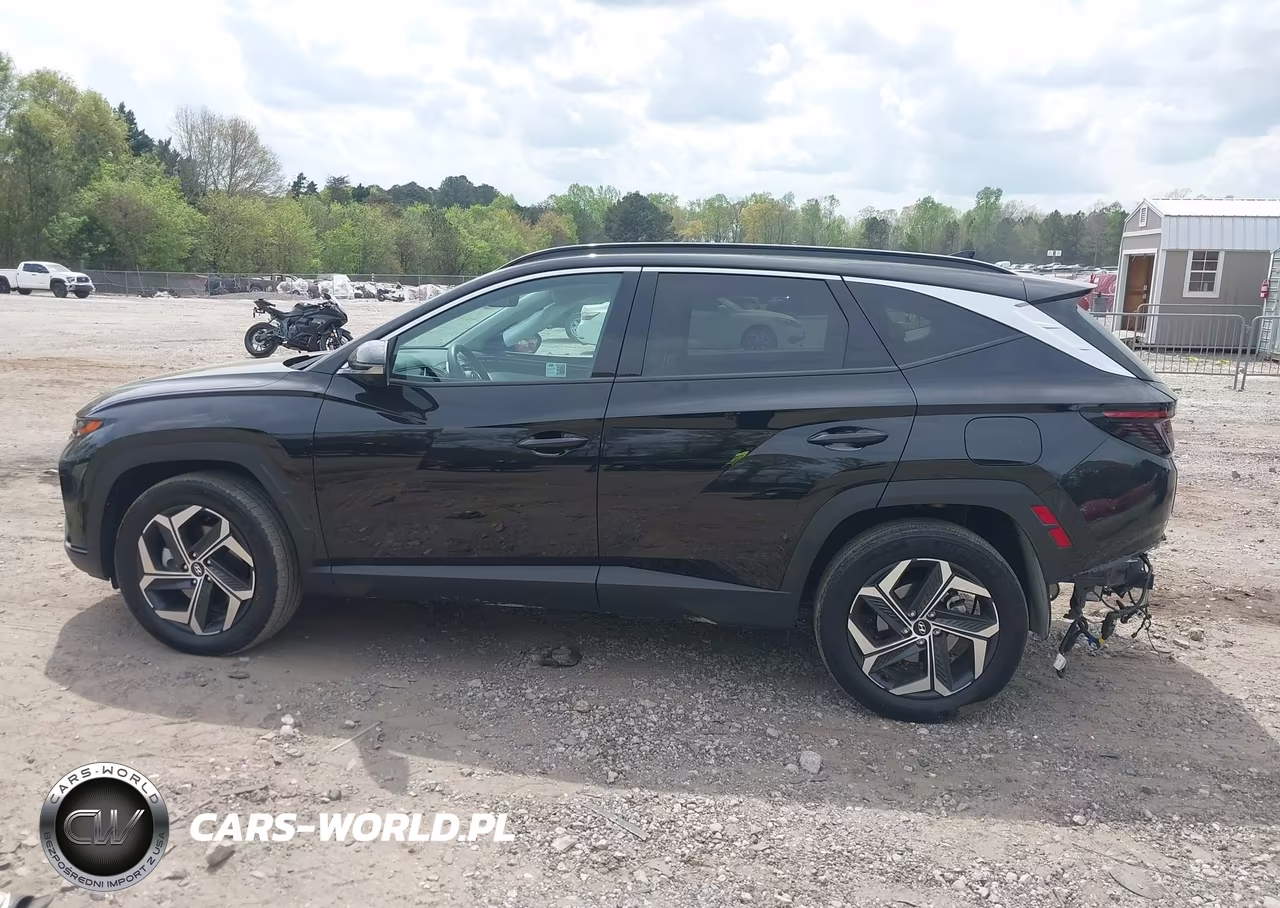 2024 Hyundai Tucson Hybrid Limited VIN:KM8JECD14RU214064 - 14