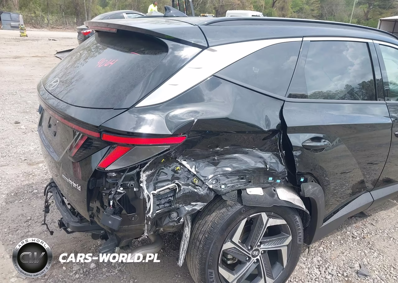 2024 Hyundai Tucson Hybrid Limited VIN:KM8JECD14RU214064 - 6