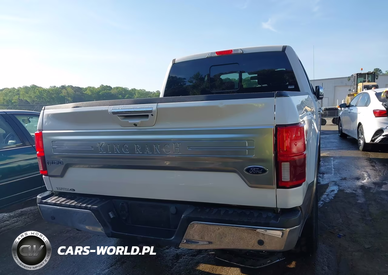 2019 Ford F-150 King Ranch VIN:1FTFW1E12KFA81583 - 16