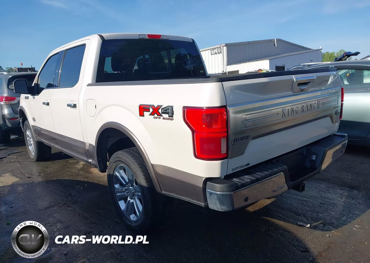 2019 Ford F-150 King Ranch VIN:1FTFW1E12KFA81583 - 3