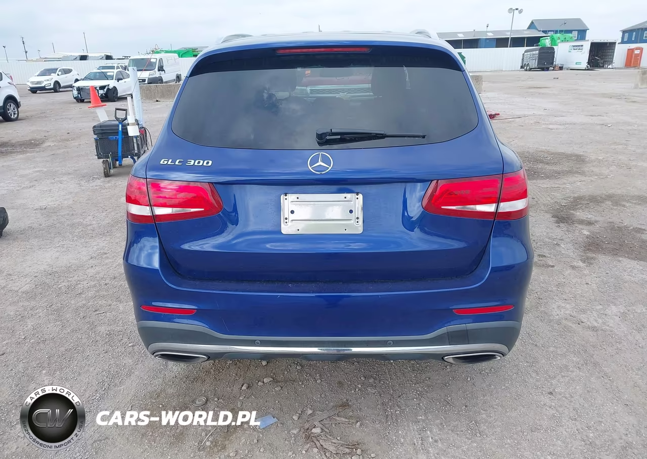2017 Mercedes-Benz Glc 300 VIN:WDC0G4JBXHF118238 - 16