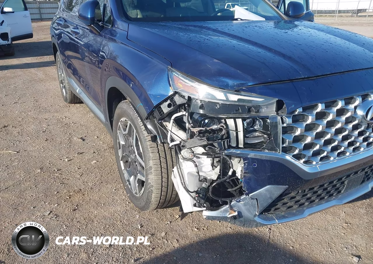 2021 Hyundai Santa Fe Limited VIN:5NMS44AL4MH368054 - 6